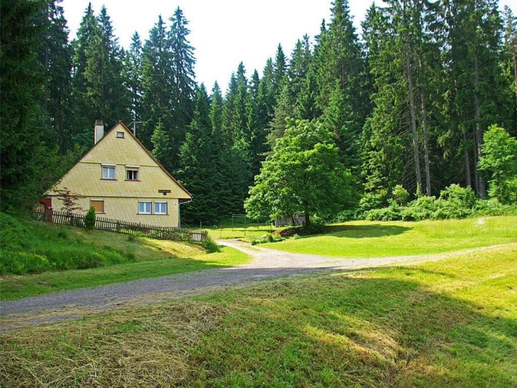 uma casa numa colina ao lado de uma estrada de terra em Rappenloch Modern retreat em Eisenbach