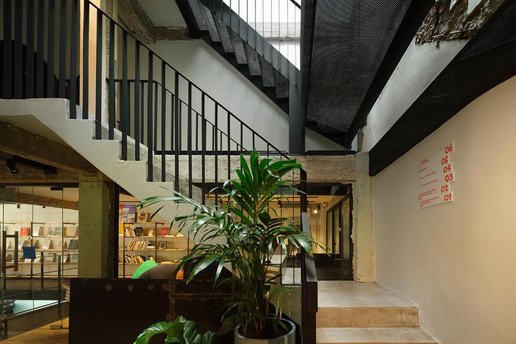 Stupid Stay - Resim 30