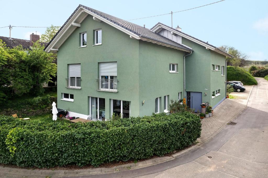 ein grünes Haus mit einer Person, die davor steht in der Unterkunft Ferienwohnung In Der Weinig in Sasbach am Kaiserstuhl