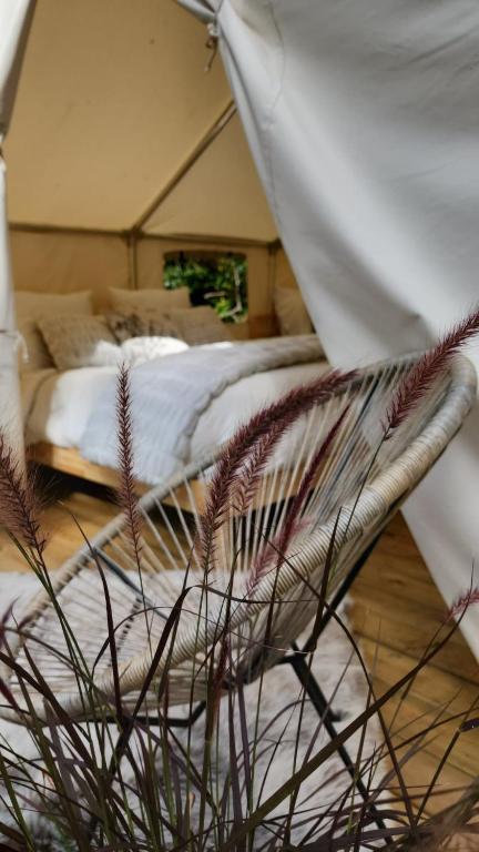1 camera con letto in tenda di Coyote Point Lodge a Delta