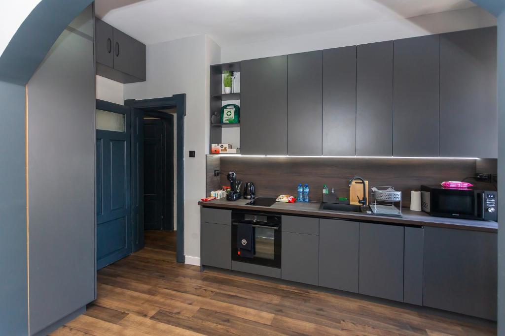 Kuchyň nebo kuchyňský kout v ubytování Urban Elegance Apartment