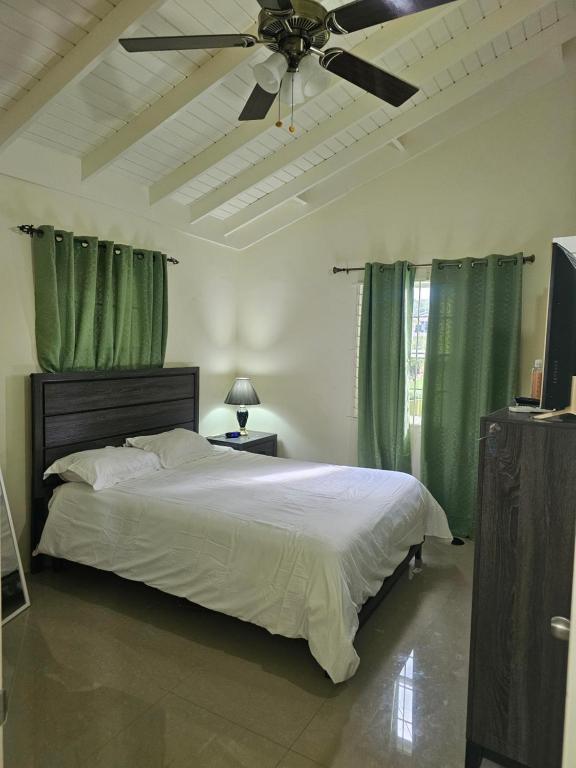 1 dormitorio con 1 cama con cortinas verdes y ventilador de techo en Stonebrook Villa, en Falmouth