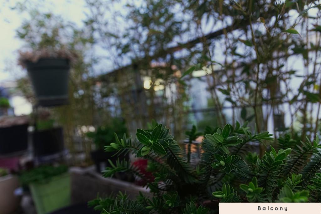 Zahrada ubytování Cosy CoLiving space near Paris