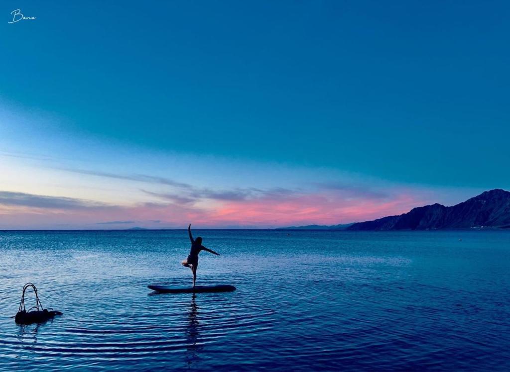 Fotografie z fotogalerie ubytování دهب فيو v destinaci Dahab