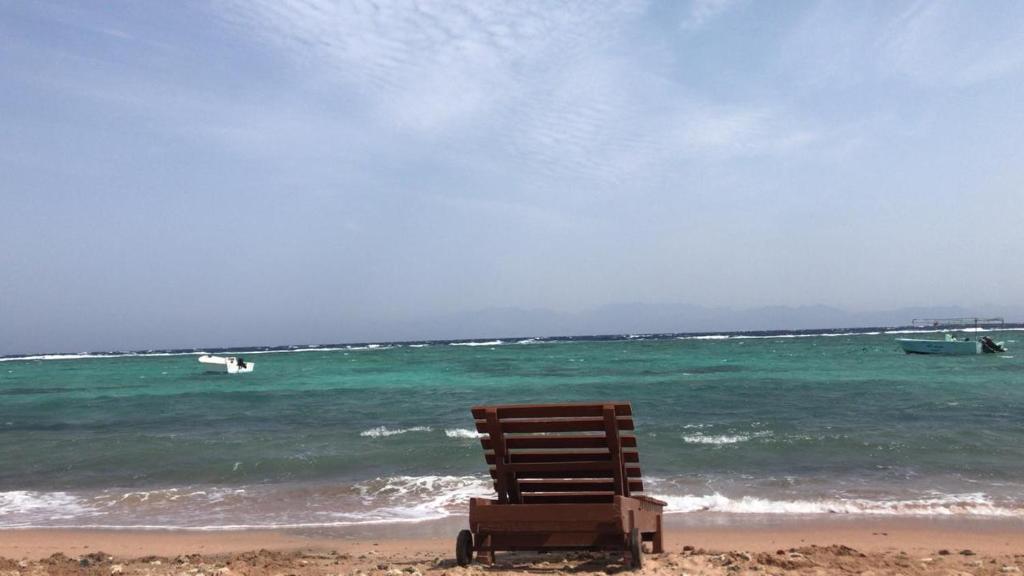 Fotografie z fotogalerie ubytování دهب فيو v destinaci Dahab