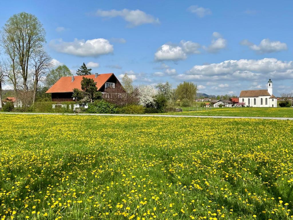 a field of yellow flowers in front of a house at Aich22 in Peißenberg