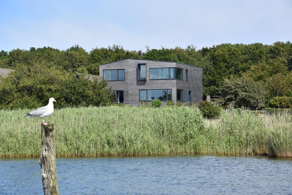 カッペルンにあるFjordhaus an der Schlei, Wohnung 6 Personenの家の前の柱に座る鳥