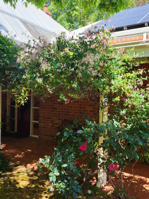 Redgum Hill Country Retreat - Villa Met Twee Slaapkamers - Redgum