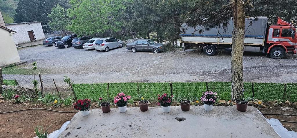 un montón de plantas en macetas sentadas en una mesa de concreto en Borbardha dhe 7 xhuxhat / Snow white and 7 dwarfs, en Fierzë