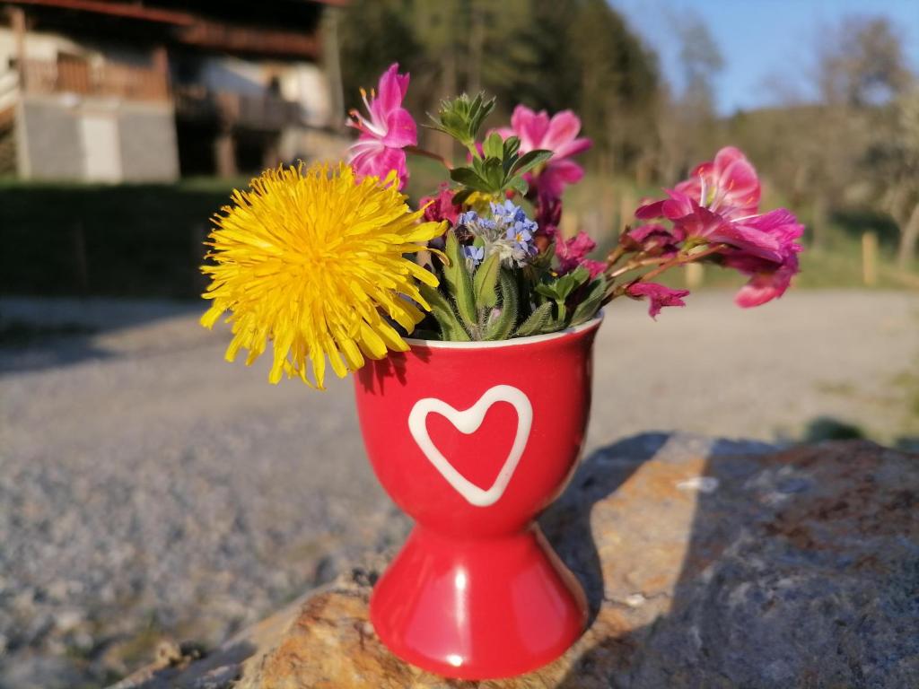 a red vase filled with flowers sitting on a rock at Landhaus Berthold in Bürserberg