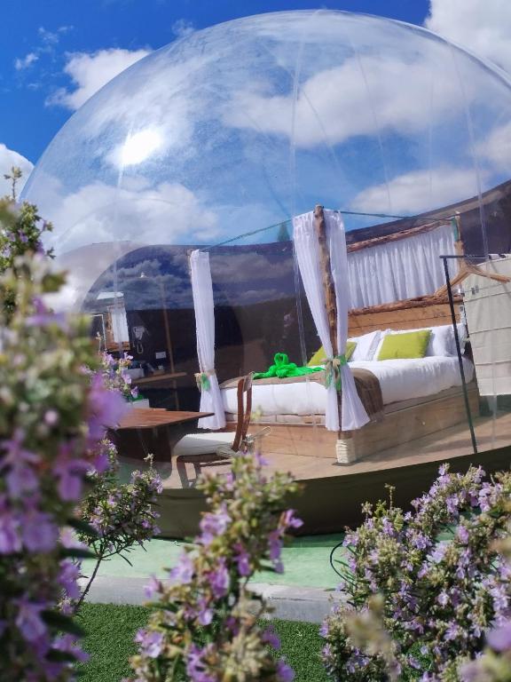 Zahrada ubytování COSMOVEROS - Hotel Burbuja