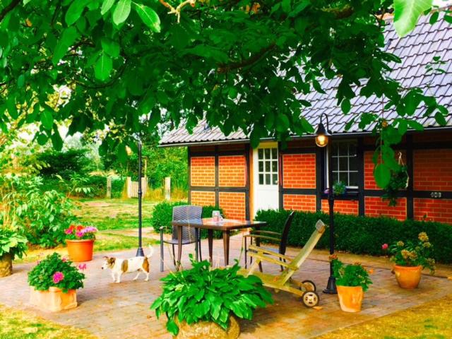 Münsterland Cottage - Apartment With Terrace
