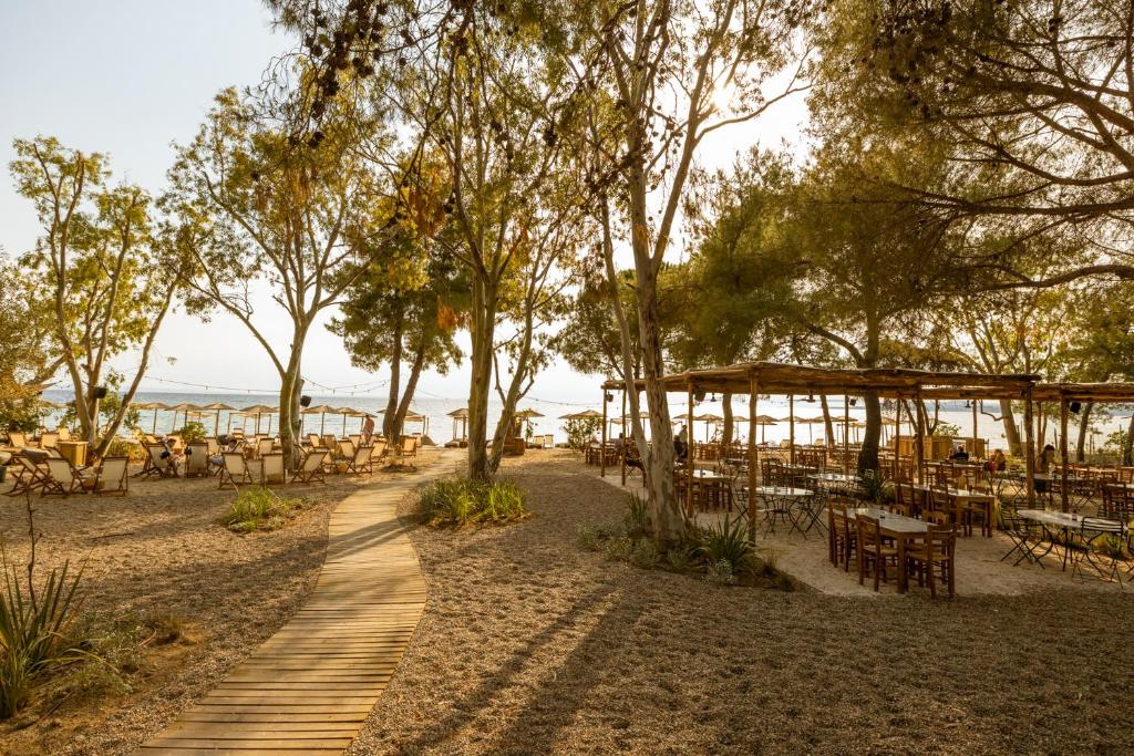 a path leading to a beach with tables and trees at Ergon Beach House Nikiti in Nikiti