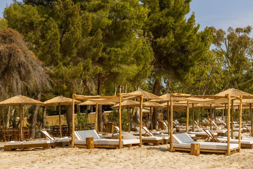 a bunch of chairs and umbrellas on a beach at Ergon Beach House Nikiti in Nikiti