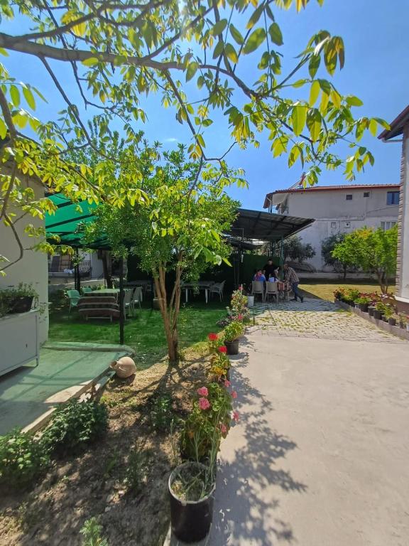 Zahrada ubytování Olive House