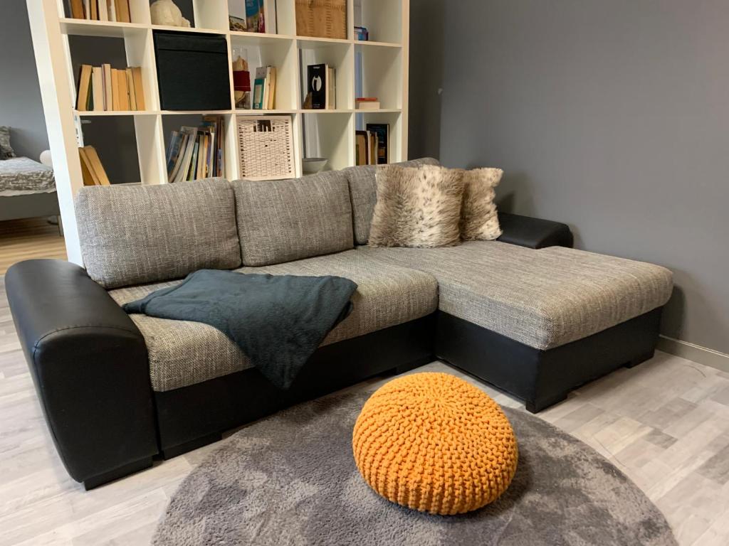 a living room with a couch and a book shelf at Neu Studio Leipzig Zentrum in Leipzig