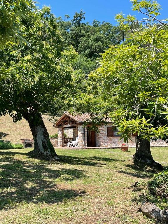 Zahrada ubytování Casa nel Bosco
