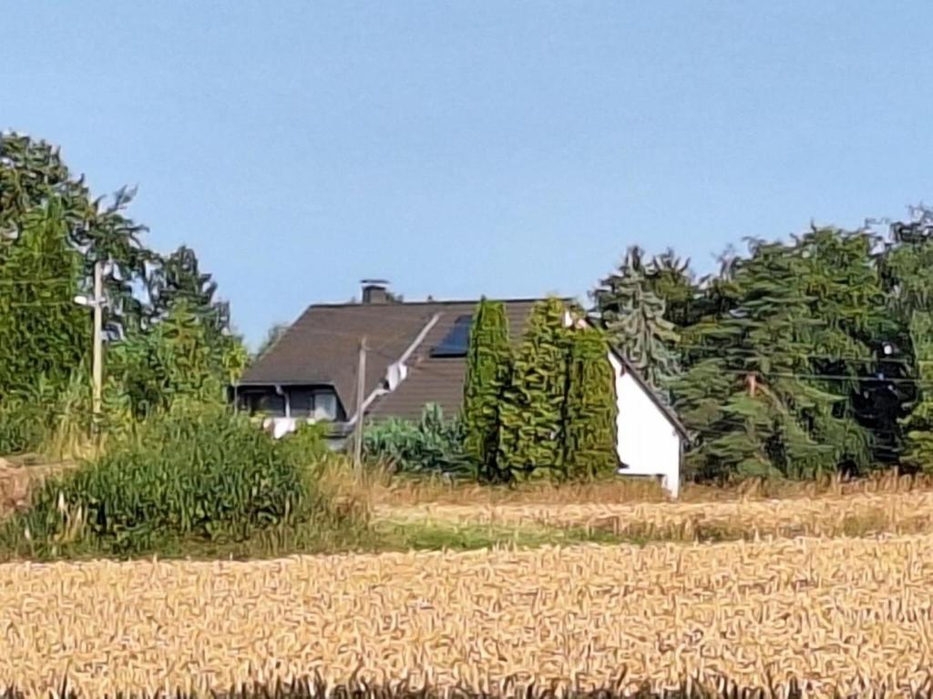 une maison au milieu d'un champ dans l'établissement Bergblick-FeWo, à Hohenstein-Ernstthal