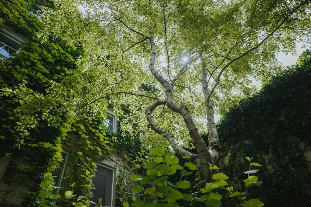 Boutiquehotel Stadthalle - Resim 44