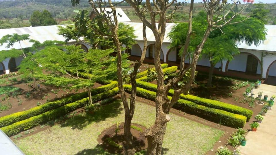 een uitzicht over een tuin met een boom en struiken bij STC.SAFARI LODGE in Oldeani