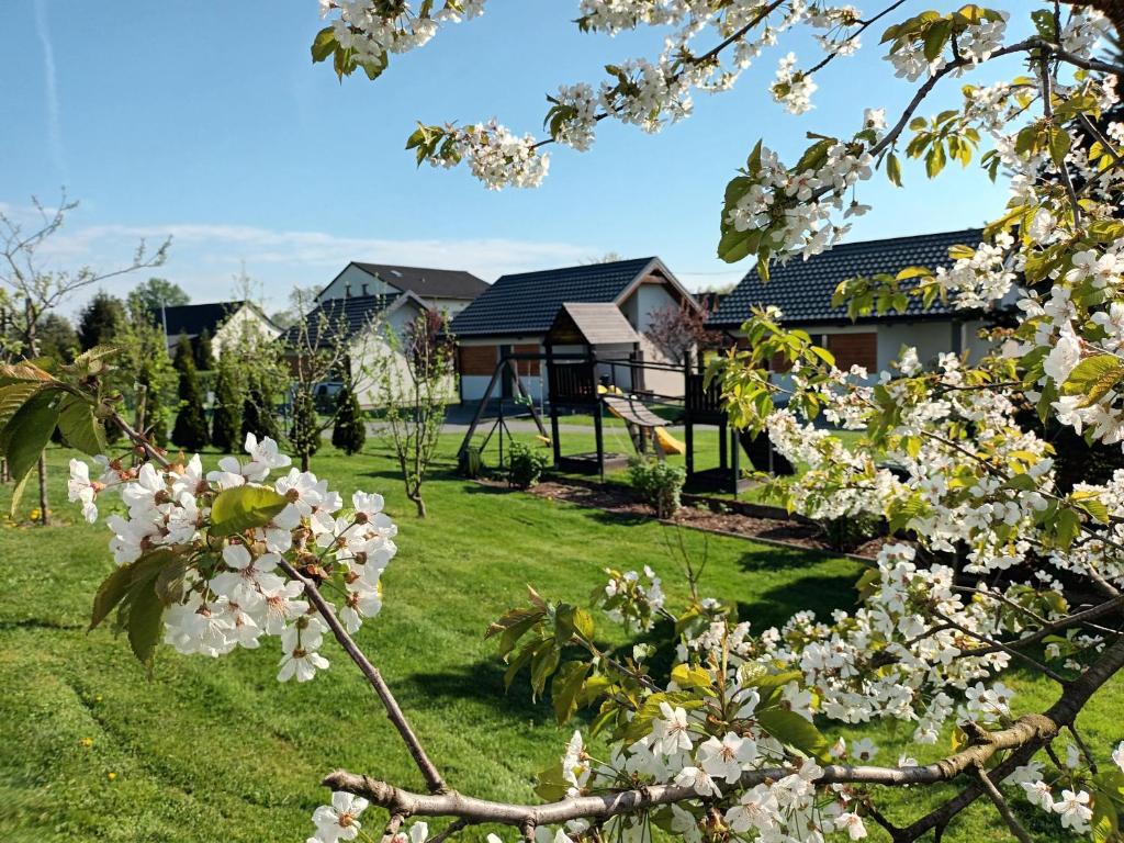 Apartamenty i Domki u Basi - 5