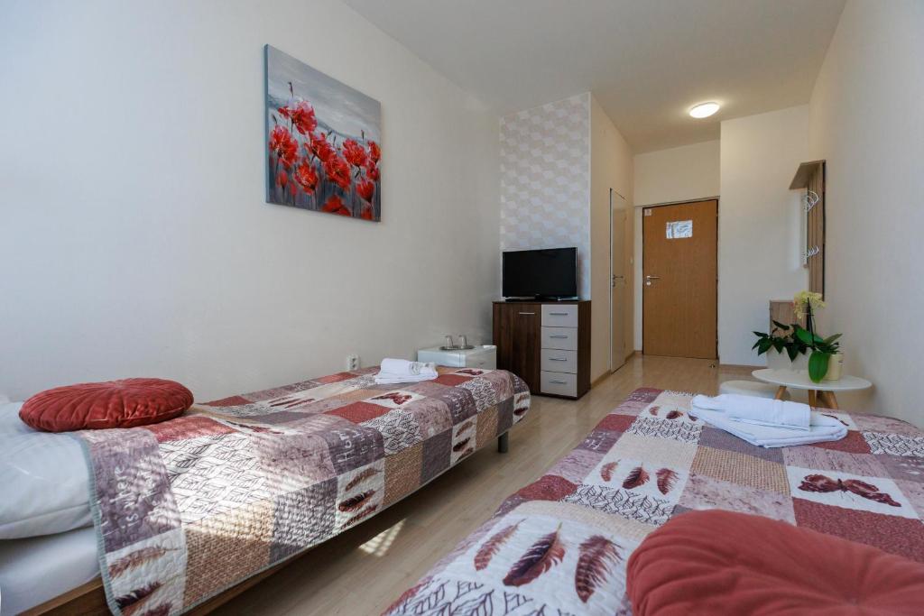 Postel nebo postele na pokoji v ubytování Agro Complex Apartments