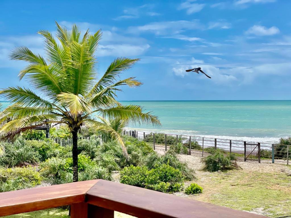 Naturlandskabet i nærheden af feriehuset