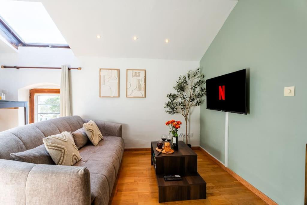ein Wohnzimmer mit einem Sofa und einem TV in der Unterkunft Studio vue sur les Salins Roses in Arles