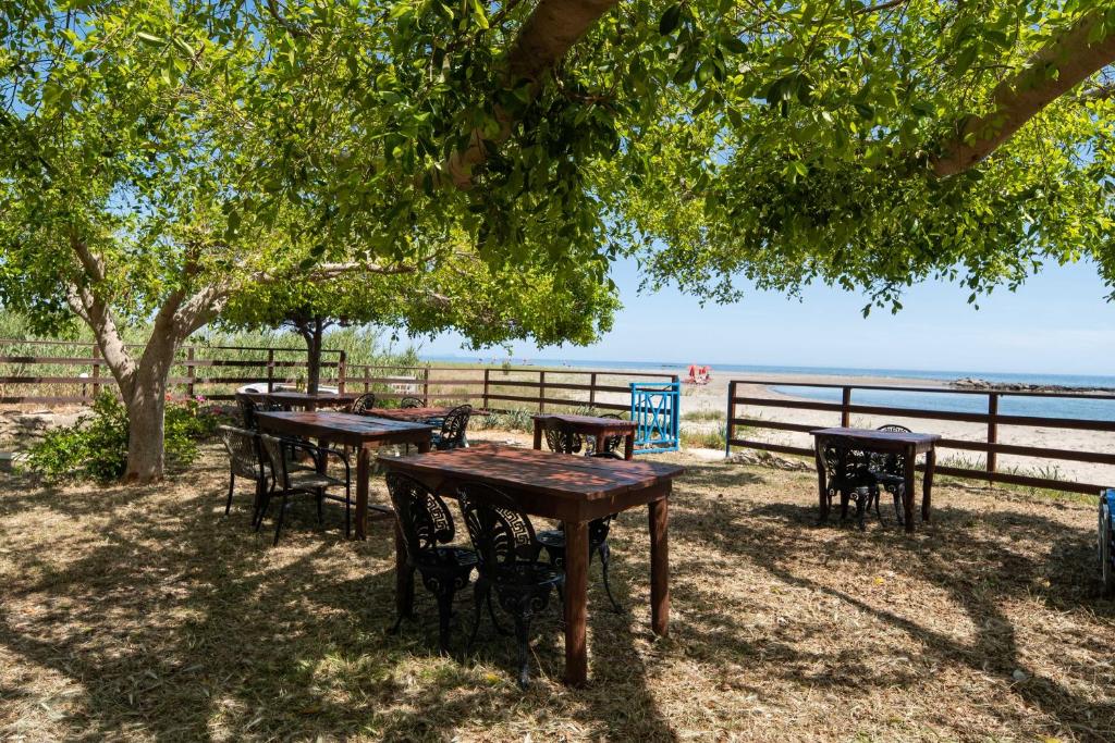 two tables and chairs under a tree near the beach at MYLOS (6) in Chania