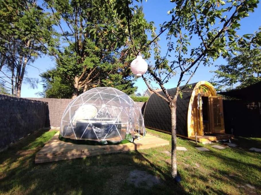 a iguana in a igloo in a yard next to a tree at Les Atypiques de sologne Pod avec spa privatif in Lanthenay