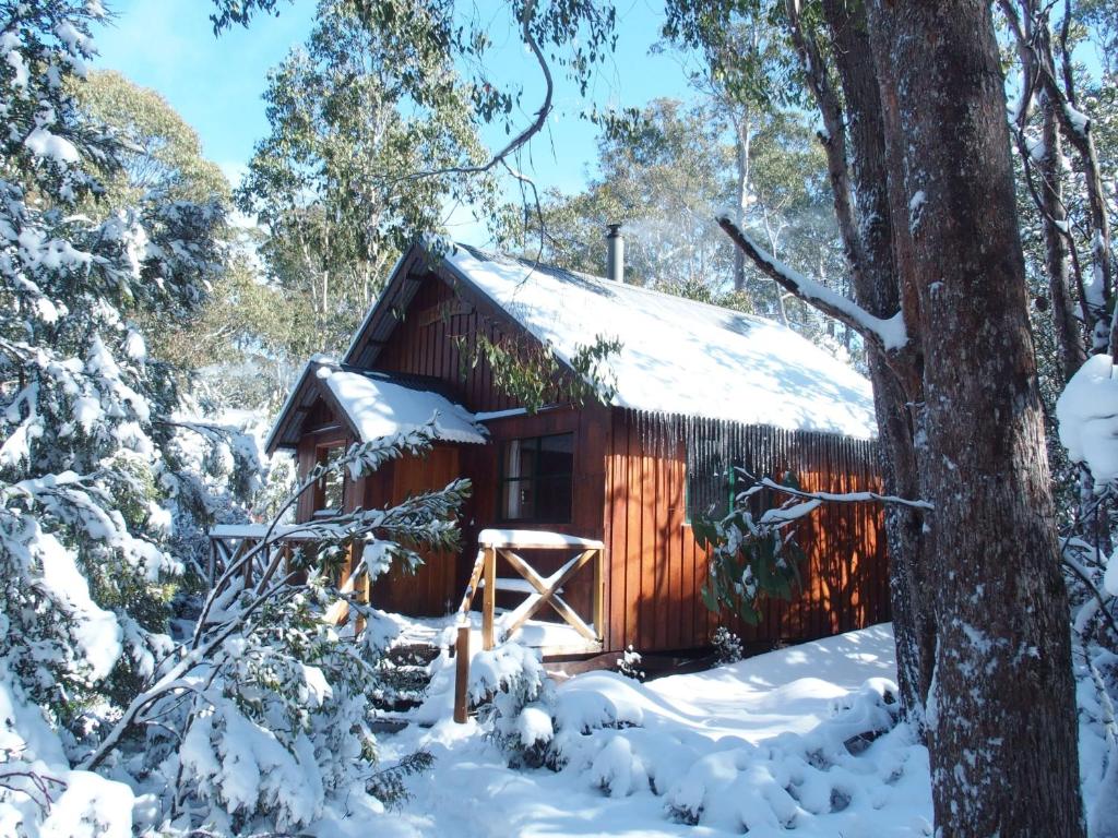 eine Hütte im Wald im Schnee in der Unterkunft Cradle Highlander in Cradle Mountain