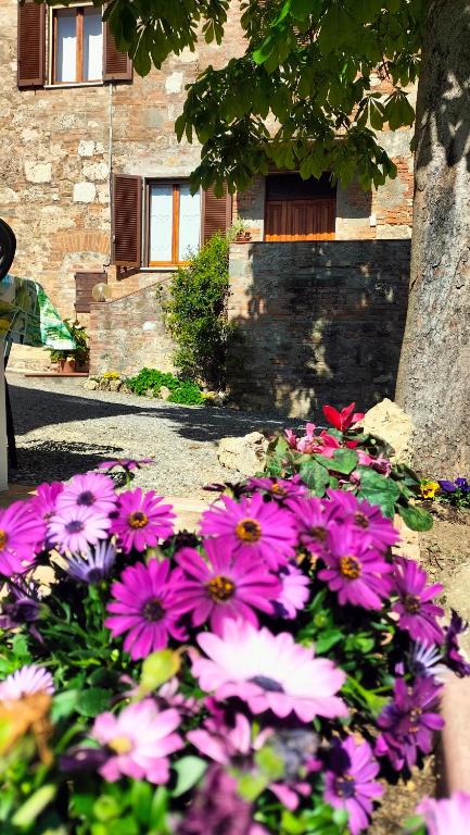 A garden outside L'oca Nera