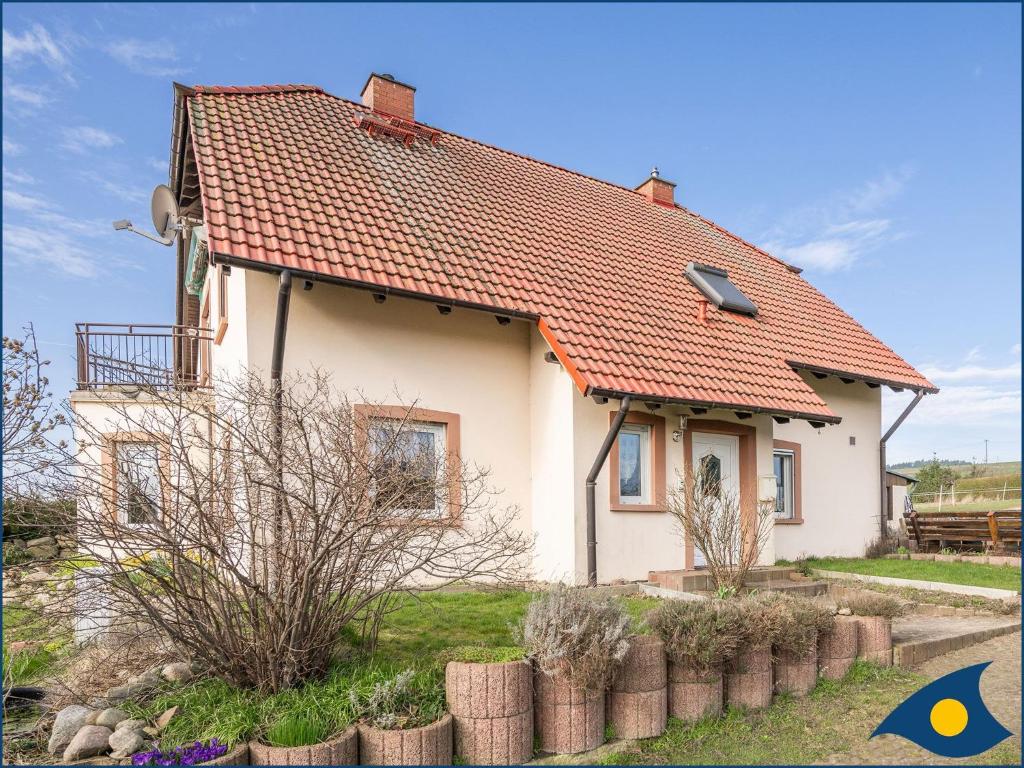 Strumento Per Test Sensibilità Girandola Di Wartenberg - Disponibile In Versioni Da 1, 3, 5 O 7 Ruote, Per Uso In Chirurgia Plastica O Neurologica Gira La Ruota Gioco Da Tavolo - Foto 4