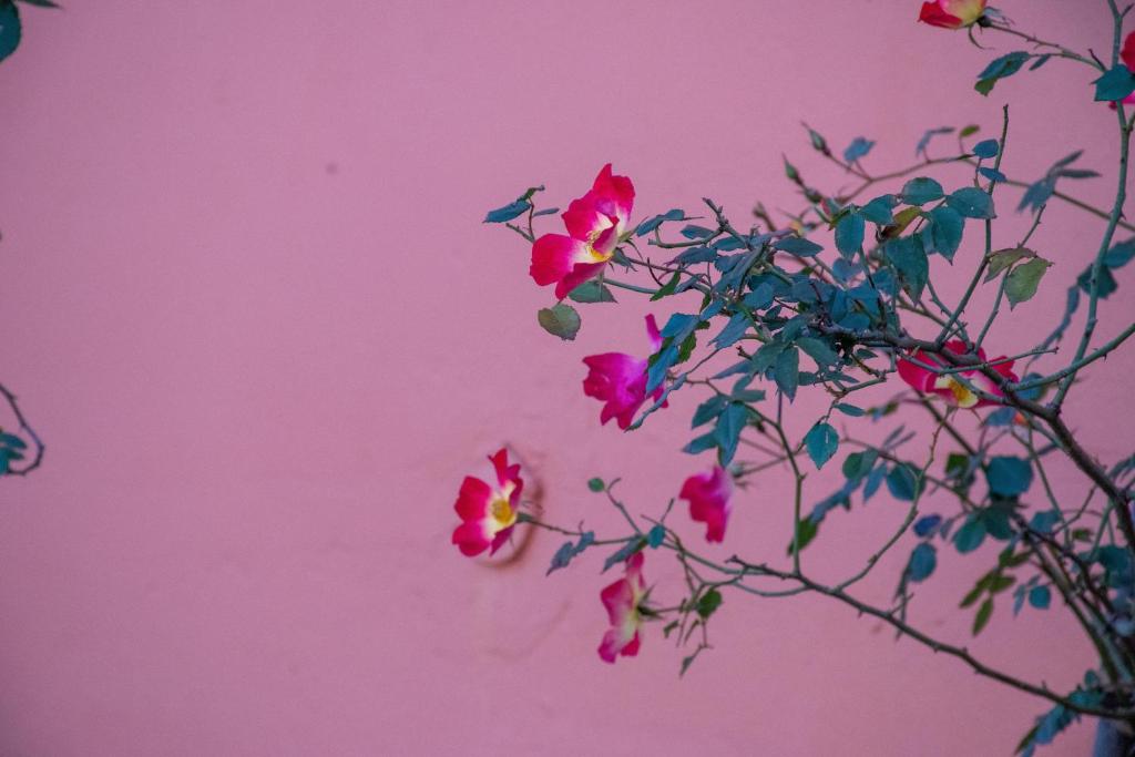 Byron Traditional Hotel - Resim 39