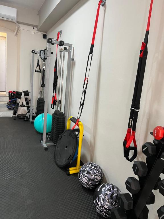Fitness centrum a/nebo fitness zařízení v ubytování Aegean Gold Syros Suites
