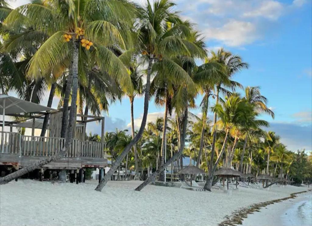 un grupo de palmeras en una playa de arena en 3bed villa with private pool and rooftop with a sea view in flic-en-flac, Mauritius en Flic-en-Flac
