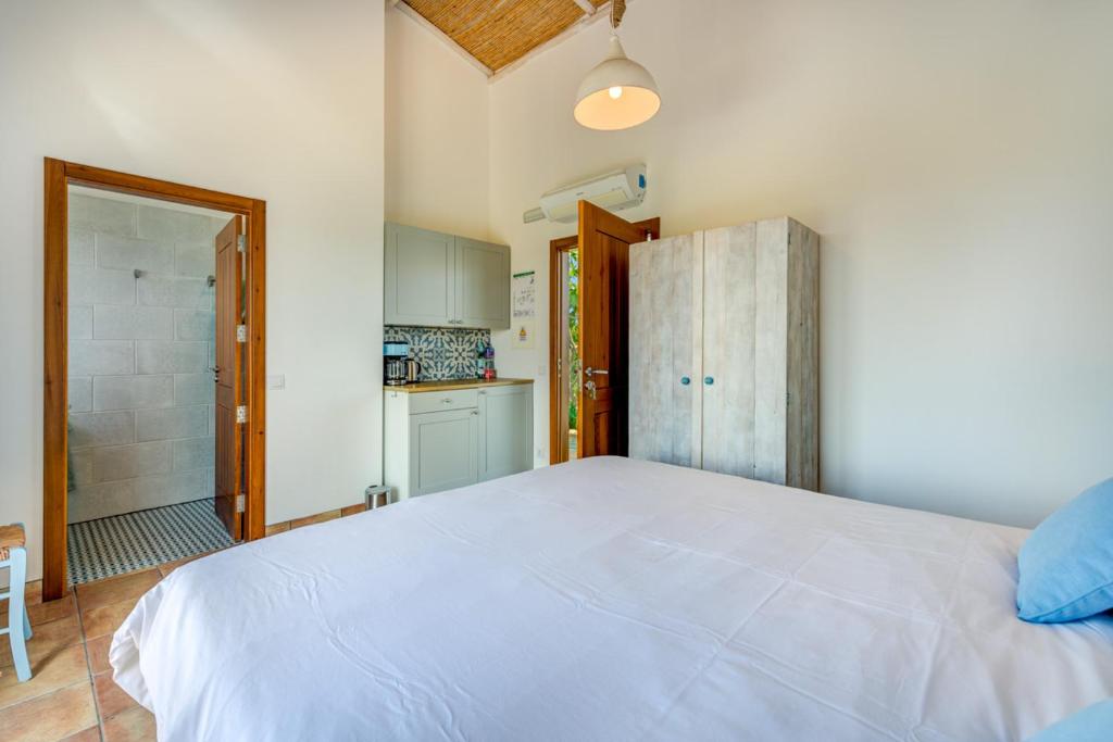 Quinta das Piteiras-Turismo Rural - 10