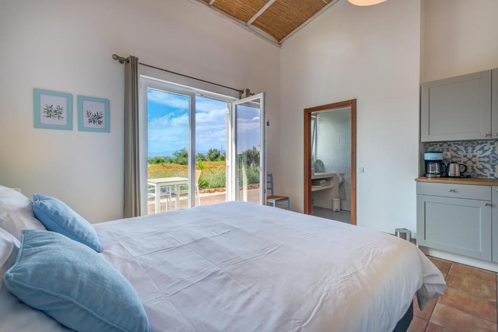 Quinta das Piteiras-Turismo Rural - 11