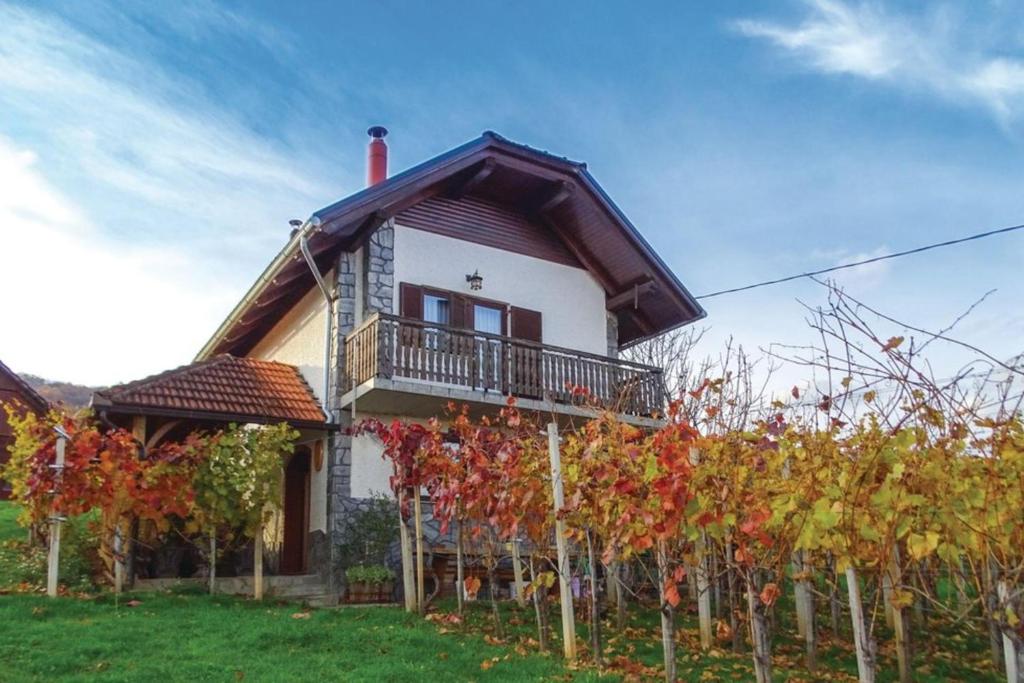 una casa con un montón de árboles delante de ella en Vineyard Cottage Bahor - Happy Rentals, en Črnomelj