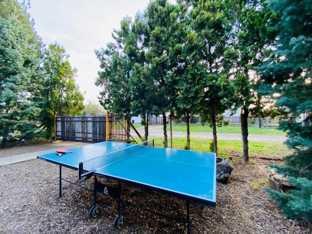 Stolní tenis v ubytování Rönk Vendégház nebo okolí