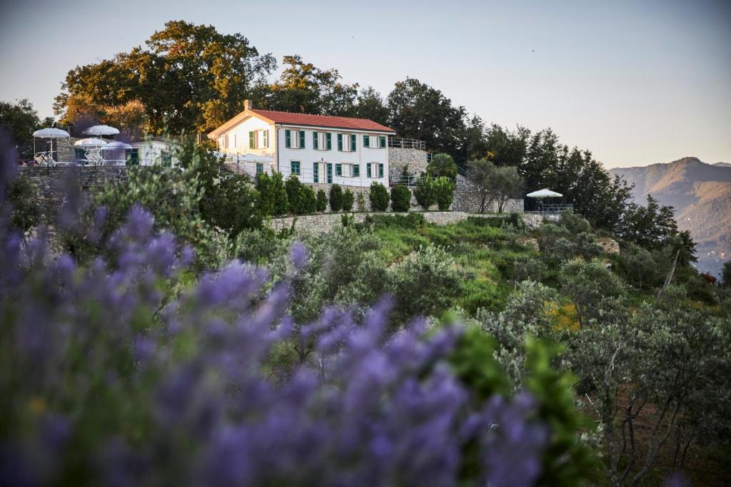 a house on top of a hill with purple flowers at Il Leccio - Luxury Resort Portofino Monte in Santa Margherita Ligure