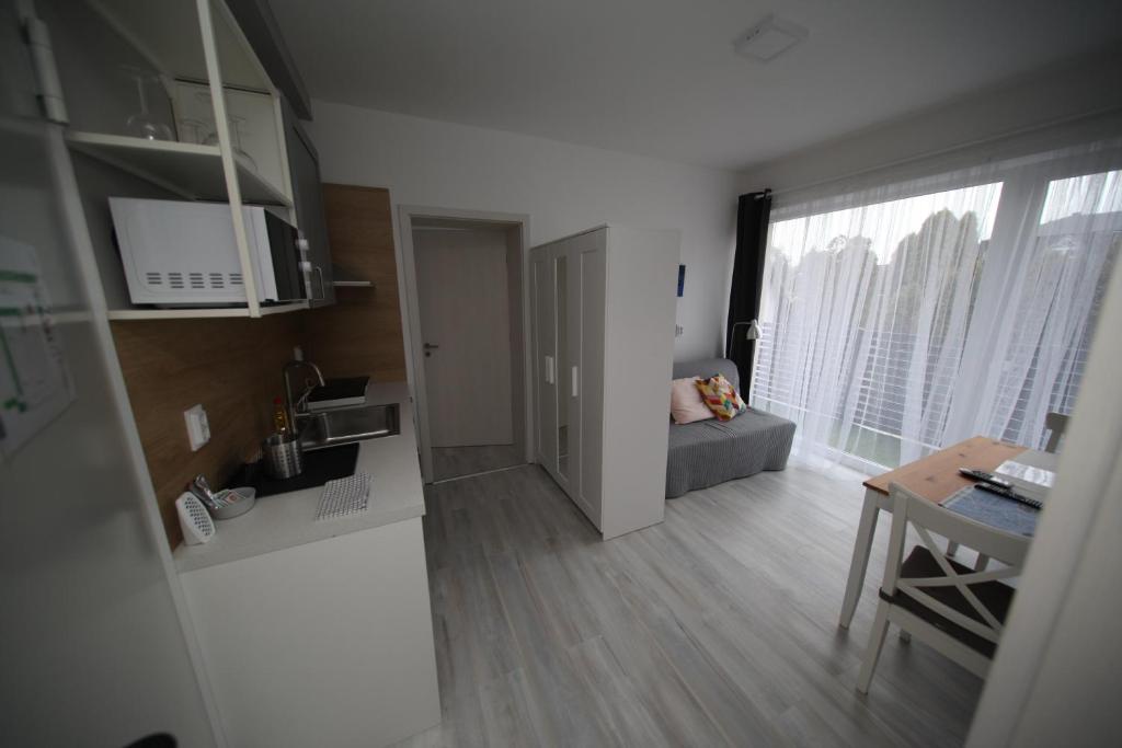 Köök või kööginurk majutusasutuses ****Heviz Springs Apartments