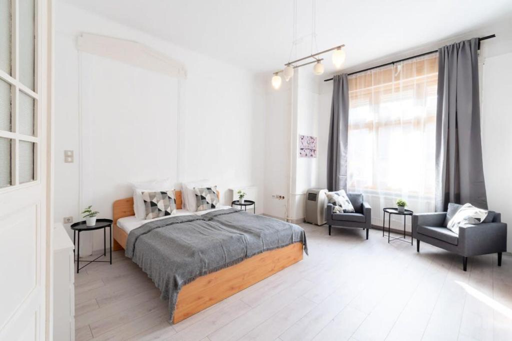 Spacious and comfy very central apartment 1072 Budapest, Akácfa utca 7 kép - 1