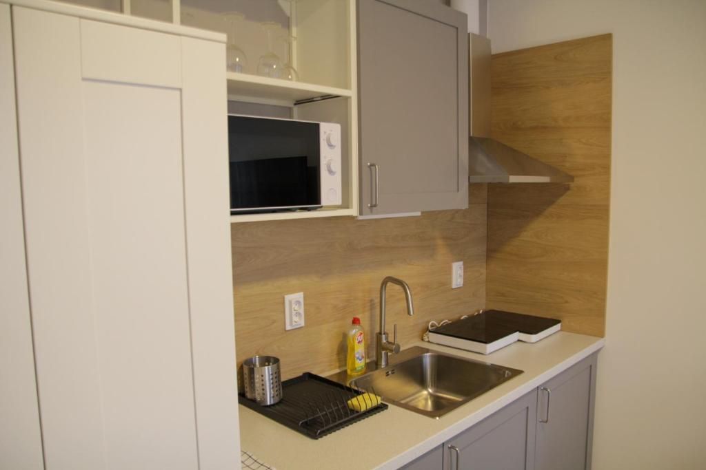 Köök või kööginurk majutusasutuses ****Heviz Springs Apartments