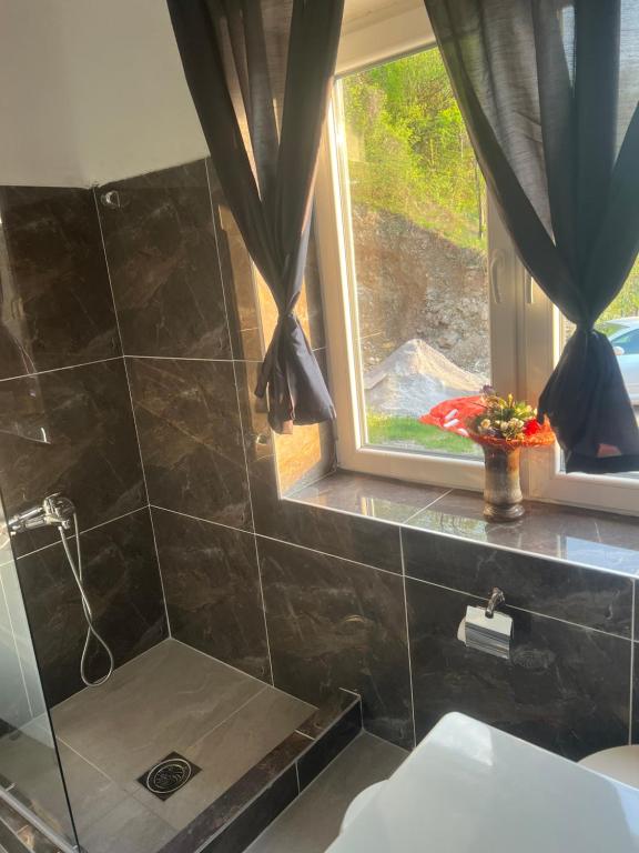 a bathroom with a shower and a window at Obrov in Bijelo Polje