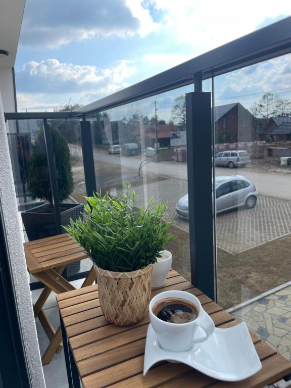 Balkón nebo terasa v ubytování Divčibajka