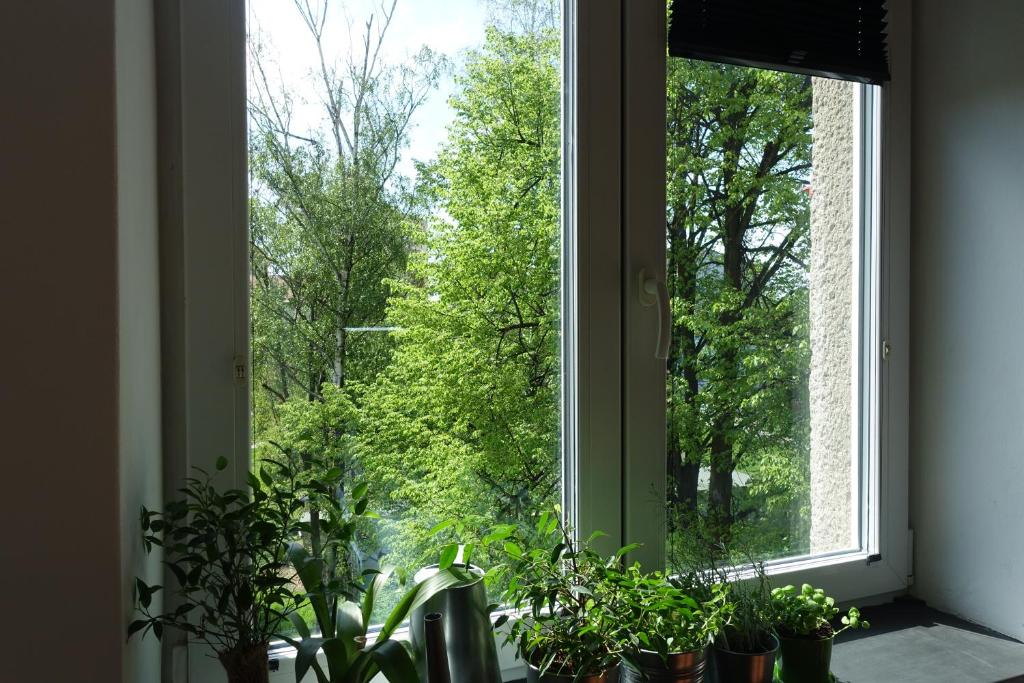 Zahrada ubytování Solaris