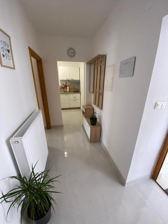 Fotografie z fotogalerie ubytování Apartmani Radosav v destinaci Šilo