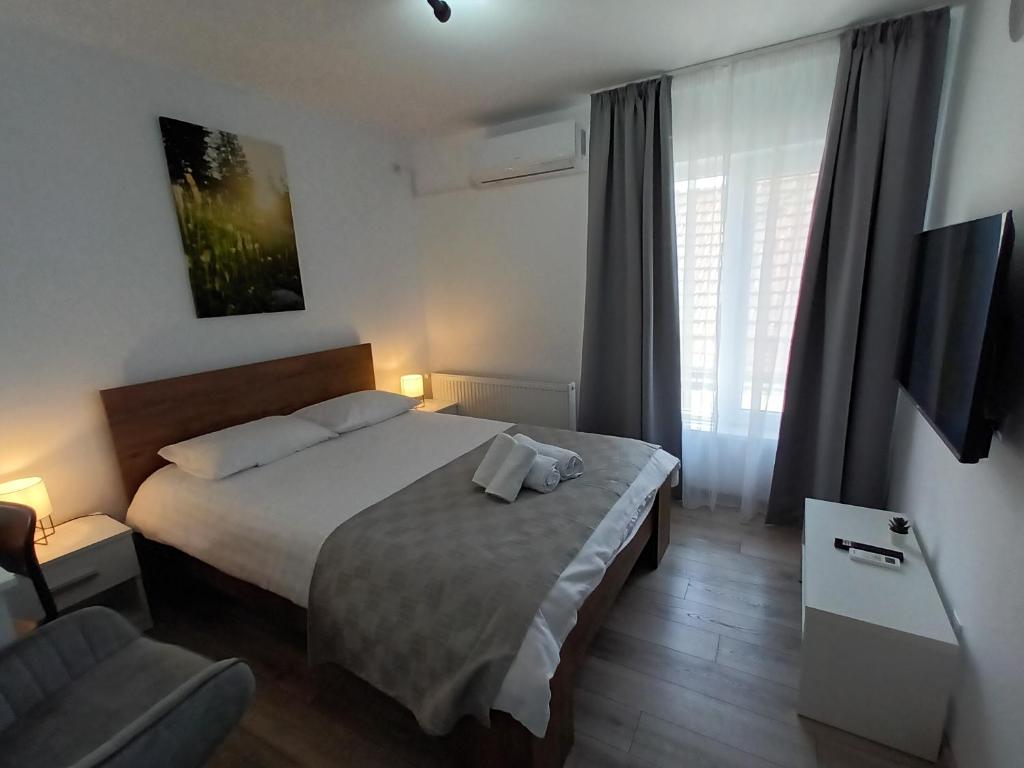 um quarto de hotel com uma cama e uma cadeira em Old Town Studio 2 apartment nr 2 em Baia Mare