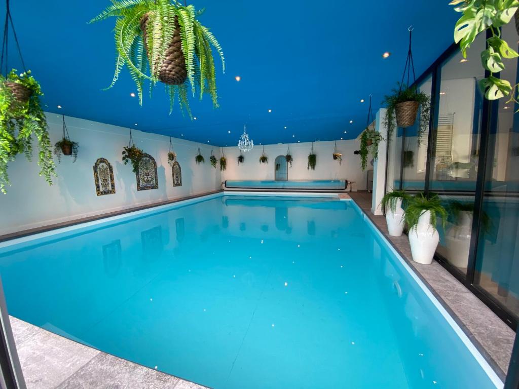 B&B Wellness Soest - Deluxe King Room